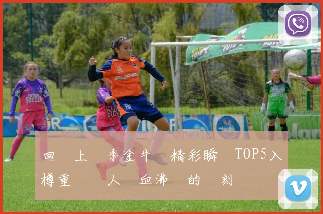 回顧上賽季金牛隊精彩瞬間TOP5入樽重溫讓人熱血沸騰的時刻
