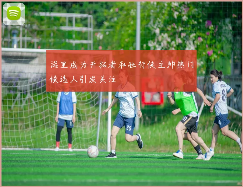 诺里成为开拓者和独行侠主帅热门候选人引发关注