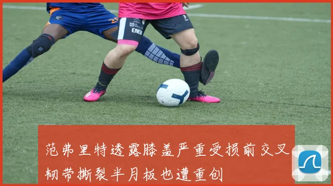 范弗里特透露膝盖严重受损前交叉韧带撕裂半月板也遭重创