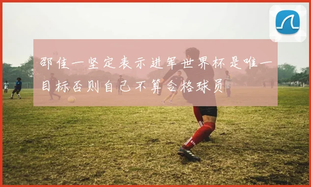 邵佳一坚定表示进军世界杯是唯一目标否则自己不算合格球员